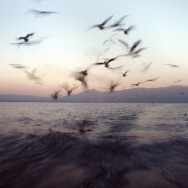Image00001 Image00001