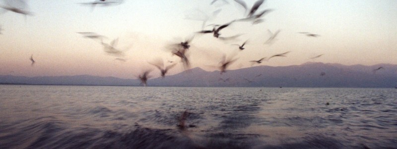 Image00001 Image00001