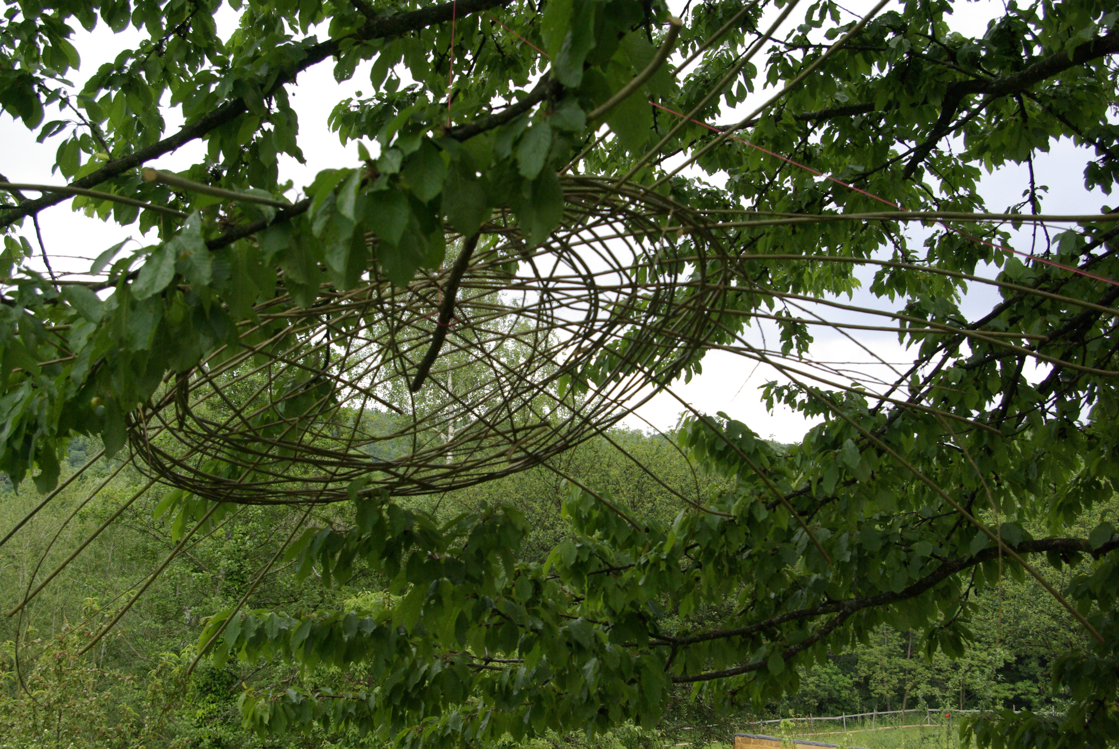 Première étape, tressage du cœur de l'installation, en osier et rotin, Festival 